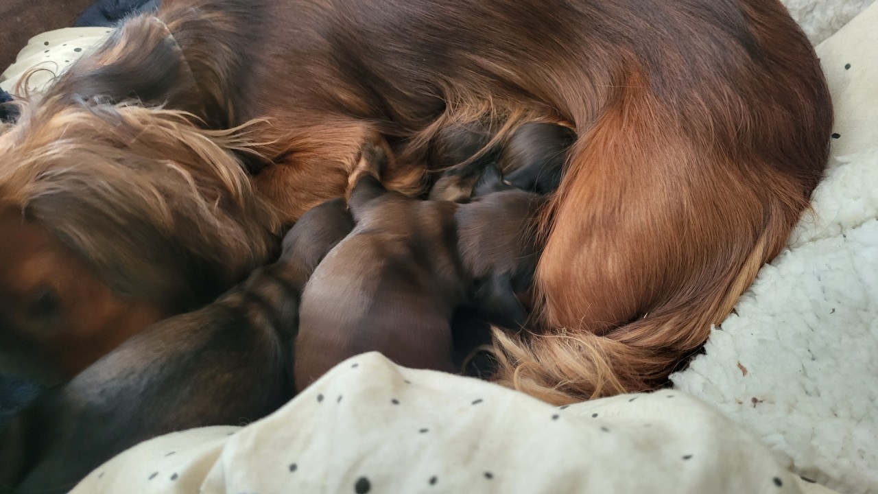 Grand moment de bonheur